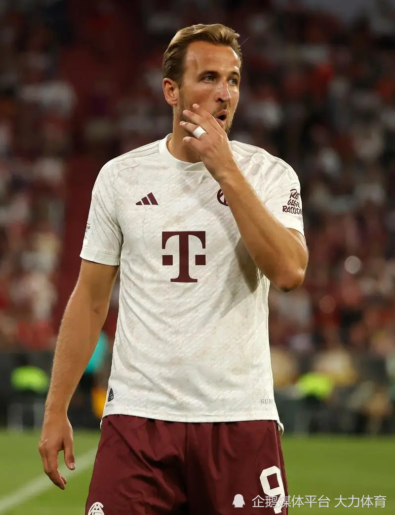 多版可选 多版可选