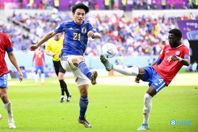 弹性更大 弹性更大