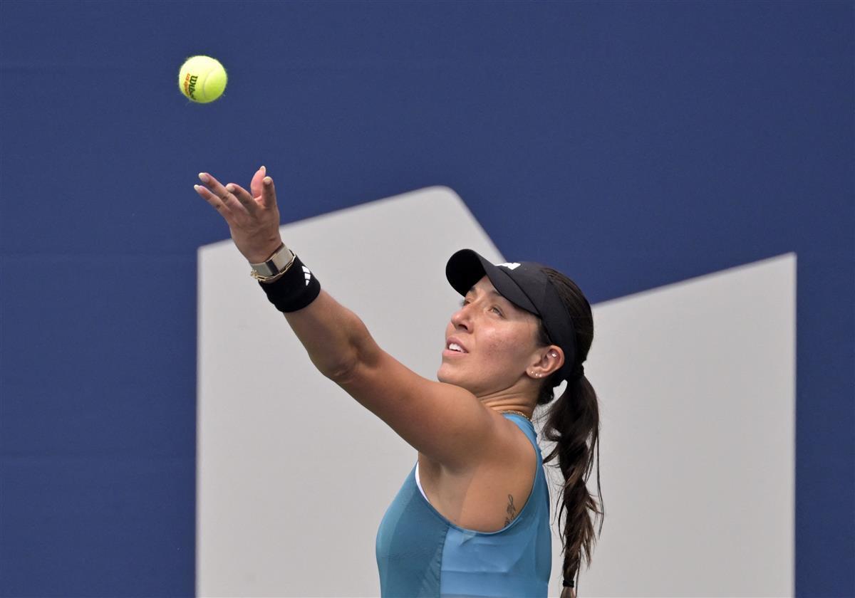 黄蜂围绕米 黄蜂围绕米